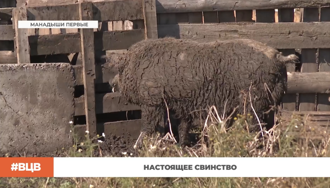 ▶️ Программа "В центре внимания" | Выпуск №1 от 2 октября 2026 года