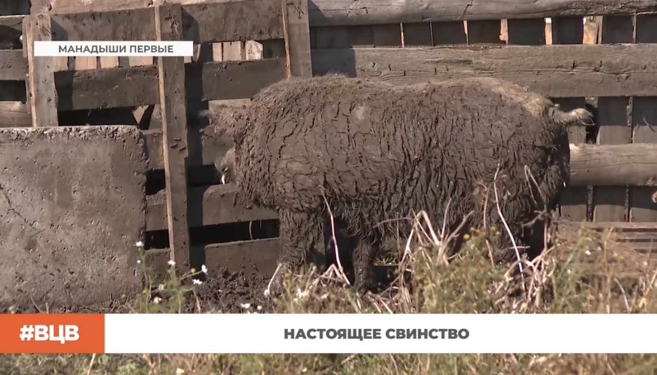 ▶️ Программа "В центре внимания" | Выпуск №1 от 2 октября 2026 года